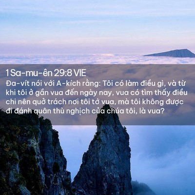 Picture 02 - 1 Sa-mu-ên 29:8 VIE - Đa-vít nói với A-kích rằng: Tôi có làm - Bible Verse Picture