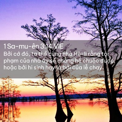Picture 02 - 1 Sa-mu-ên 3:14 VIE - Bởi cớ đó, ta thề cùng nhà Hê-li - Bible Verse Picture