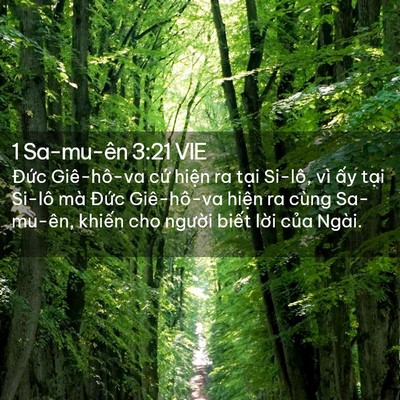 Picture 02 - 1 Sa-mu-ên 3:21 VIE - Đức Giê-hô-va cứ hiện ra tại Si-lô, - Bible Verse Picture