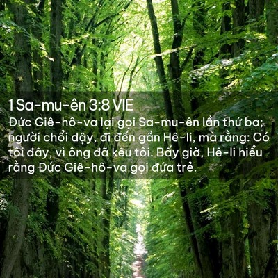 Picture 02 - 1 Sa-mu-ên 3:8 VIE - Đức Giê-hô-va lại gọi Sa-mu-ên lần - Bible Verse Picture
