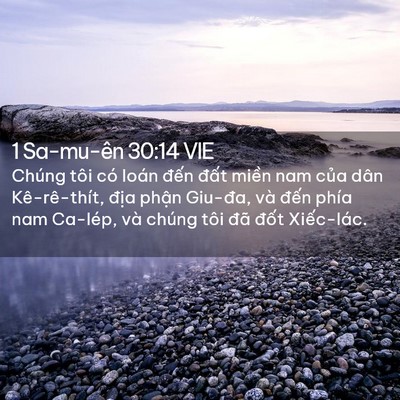Picture 02 - 1 Sa-mu-ên 30:14 VIE - Chúng tôi có loán đến đất miền nam - Bible Verse Picture