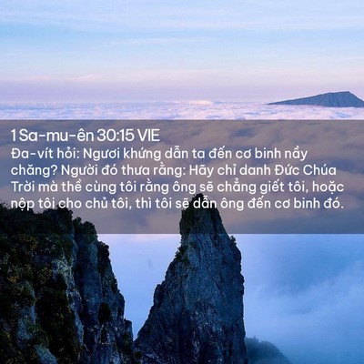 Picture 02 - 1 Sa-mu-ên 30:15 VIE - Đa-vít hỏi: Ngươi khứng dẫn ta đến - Bible Verse Picture