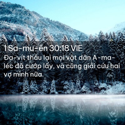 Picture 02 - 1 Sa-mu-ên 30:18 VIE - Đa-vít thâu lại mọi vật dân A-ma-léc - Bible Verse Picture
