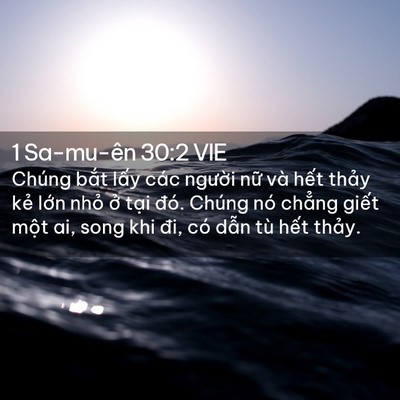 Picture 02 - 1 Sa-mu-ên 30:2 VIE - Chúng bắt lấy các người nữ và hết - Bible Verse Picture