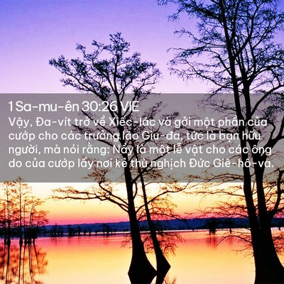 Picture 02 - 1 Sa-mu-ên 30:26 VIE - Vậy, Đa-vít trở về Xiếc-lác và gởi - Bible Verse Picture