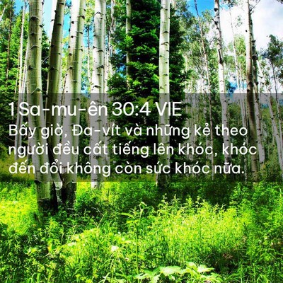 Picture 02 - 1 Sa-mu-ên 30:4 VIE - Bấy giờ, Đa-vít và những kẻ theo - Bible Verse Picture