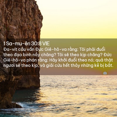 Picture 02 - 1 Sa-mu-ên 30:8 VIE - Đa-vít cầu vấn Đức Giê-hô-va rằng: - Bible Verse Picture