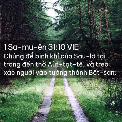 Picture 02 - 1 Sa-mu-ên 31:10 VIE - Chúng để binh khí của Sau-lơ tại trong - Bible Verse Picture