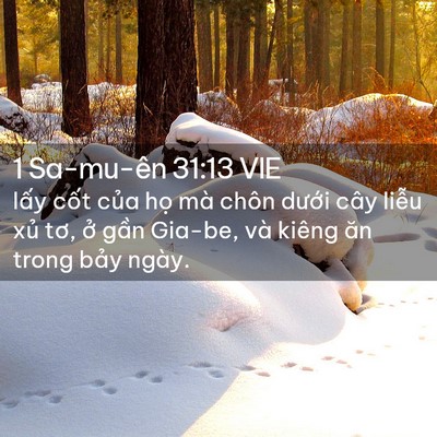 Picture 02 - 1 Sa-mu-ên 31:13 VIE - lấy cốt của họ mà chôn dưới cây - Bible Verse Picture