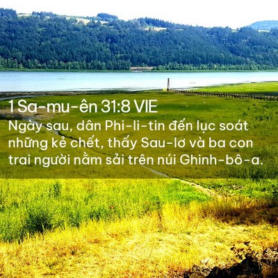 Picture 02 - 1 Sa-mu-ên 31:8 VIE - Ngày sau, dân Phi-li-tin đến lục soát - Bible Verse Picture