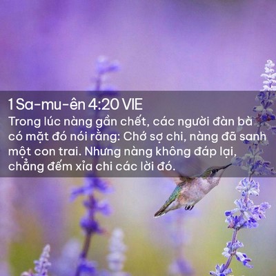 Picture 02 - 1 Sa-mu-ên 4:20 VIE - Trong lúc nàng gần chết, các người - Bible Verse Picture