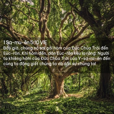 Picture 02 - 1 Sa-mu-ên 5:10 VIE - Bấy giờ, chúng nó sai gởi hòm của - Bible Verse Picture