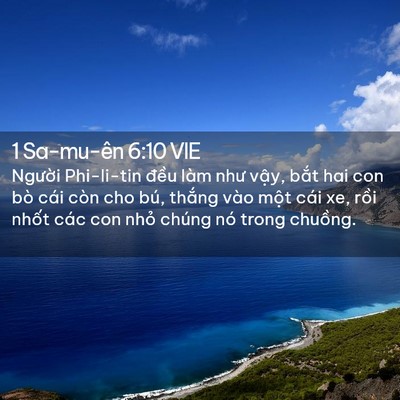 Picture 02 - 1 Sa-mu-ên 6:10 VIE - Người Phi-li-tin đều làm như vậy, bắt - Bible Verse Picture