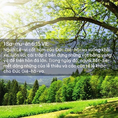 Picture 02 - 1 Sa-mu-ên 6:15 VIE - Người Lê-vi cất hòm của Đức - Bible Verse Picture