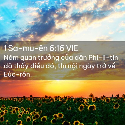 Picture 02 - 1 Sa-mu-ên 6:16 VIE - Năm quan trưởng của dân Phi-li-tin đã - Bible Verse Picture