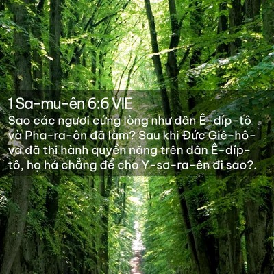 Picture 02 - 1 Sa-mu-ên 6:6 VIE - Sao các ngươi cứng lòng như dân - Bible Verse Picture