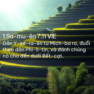 Picture 02 - 1 Sa-mu-ên 7:11 VIE - Dân Y-sơ-ra-ên từ Mích-ba ra, đuổi theo - Bible Verse Picture
