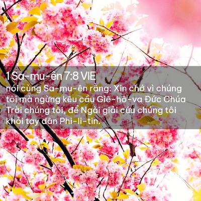 Picture 02 - 1 Sa-mu-ên 7:8 VIE - nói cùng Sa-mu-ên rằng: Xin chớ vì chúng - Bible Verse Picture