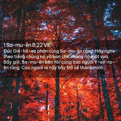 Picture 02 - 1 Sa-mu-ên 8:22 VIE - Đức Giê-hô-va phán cùng Sa-mu-ên rằng: - Bible Verse Picture