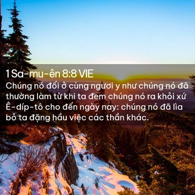 Picture 02 - 1 Sa-mu-ên 8:8 VIE - Chúng nó đối ở cùng ngươi y như chúng - Bible Verse Picture