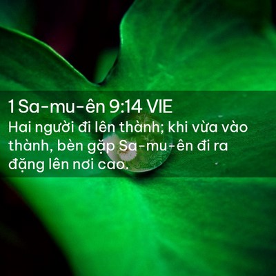 Picture 02 - 1 Sa-mu-ên 9:14 VIE - Hai người đi lên thành; khi vừa vào - Bible Verse Picture