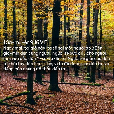 Picture 02 - 1 Sa-mu-ên 9:16 VIE - Ngày mai, tại giờ nầy, ta sẽ sai một - Bible Verse Picture