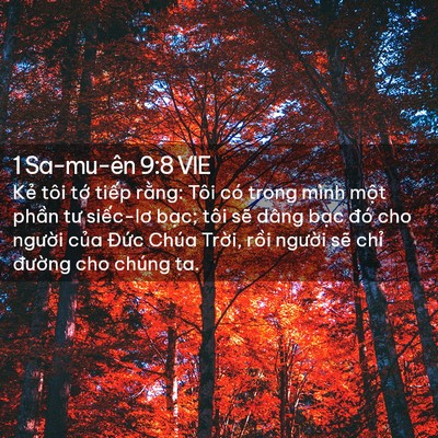Picture 02 - 1 Sa-mu-ên 9:8 VIE - Kẻ tôi tớ tiếp rằng: Tôi có trong - Bible Verse Picture