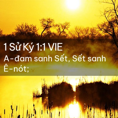 Picture 02 - 1 Sử Ký 1:1 VIE - A-đam sanh Sết, Sết sanh - Bible Verse Picture