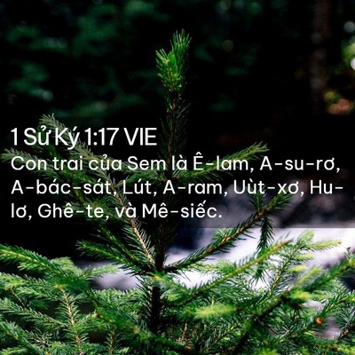Picture 02 - 1 Sử Ký 1:17 VIE - Con trai của Sem là Ê-lam, A-su-rơ, - Bible Verse Picture