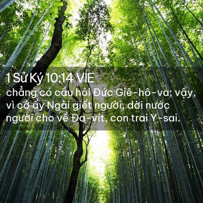Picture 02 - 1 Sử Ký 10:14 VIE - chẳng có cầu hỏi Đức Giê-hô-va; - Bible Verse Picture