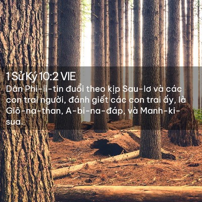 Picture 02 - 1 Sử Ký 10:2 VIE - Dân Phi-li-tin đuổi theo kịp Sau-lơ và - Bible Verse Picture
