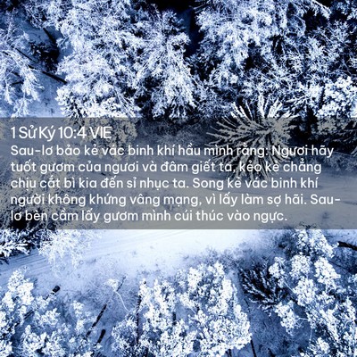 Picture 02 - 1 Sử Ký 10:4 VIE - Sau-lơ bảo kẻ vác binh khí hầu mình - Bible Verse Picture