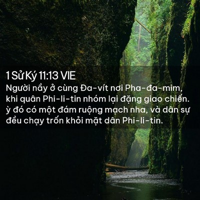Picture 02 - 1 Sử Ký 11:13 VIE - Người nầy ở cùng Đa-vít nơi - Bible Verse Picture