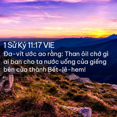 Picture 02 - 1 Sử Ký 11:17 VIE - Đa-vít ước ao rằng: Than ôi! chớ gì ai - Bible Verse Picture