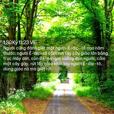Picture 02 - 1 Sử Ký 11:23 VIE - Người cũng đánh giết một người - Bible Verse Picture