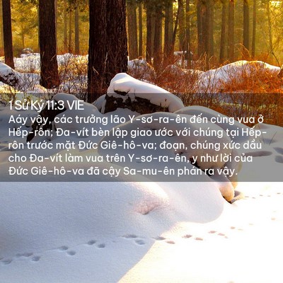 Picture 02 - 1 Sử Ký 11:3 VIE - Aáy vậy, các trưởng lão Y-sơ-ra-ên - Bible Verse Picture