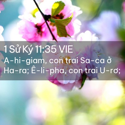 Picture 02 - 1 Sử Ký 11:35 VIE - A-hi-giam, con trai Sa-ca ở Ha-ra; Ê-li-pha, - Bible Verse Picture
