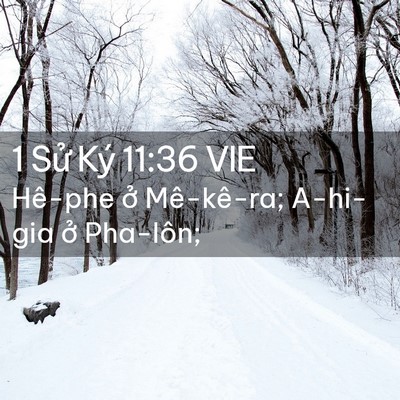 Picture 02 - 1 Sử Ký 11:36 VIE - Hê-phe ở Mê-kê-ra; A-hi-gia ở - Bible Verse Picture
