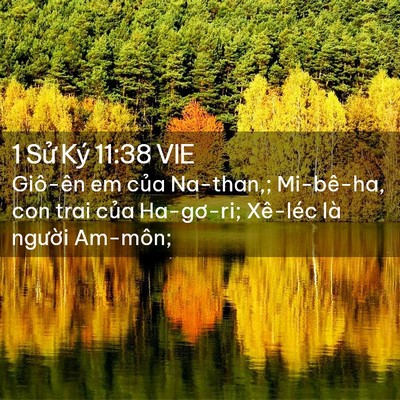 Picture 02 - 1 Sử Ký 11:38 VIE - Giô-ên em của Na-than,; Mi-bê-ha, con trai - Bible Verse Picture