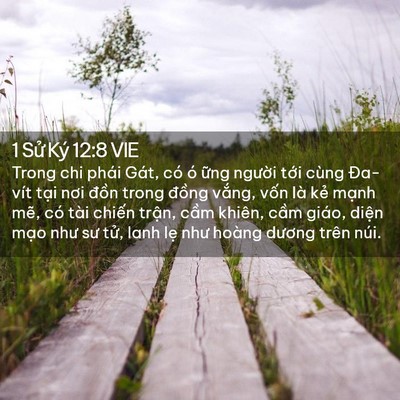 Picture 02 - 1 Sử Ký 12:8 VIE - Trong chi phái Gát, có ó ững người tới - Bible Verse Picture