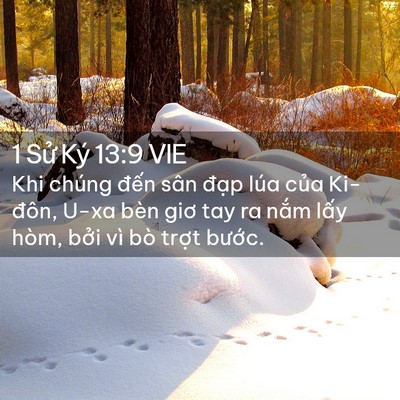 Picture 02 - 1 Sử Ký 13:9 VIE - Khi chúng đến sân đạp lúa của - Bible Verse Picture