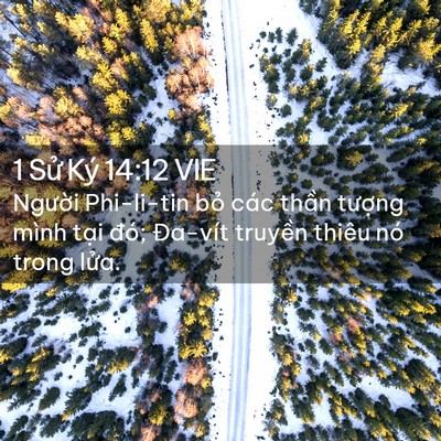 Picture 02 - 1 Sử Ký 14:12 VIE - Người Phi-li-tin bỏ các thần tượng - Bible Verse Picture