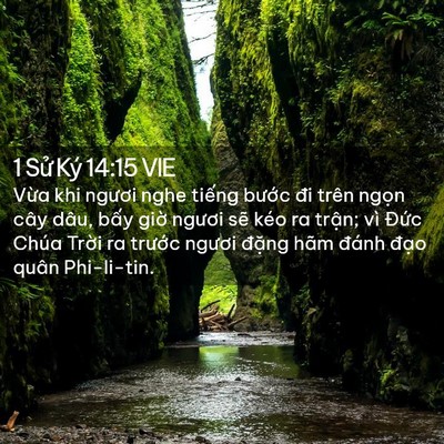 Picture 02 - 1 Sử Ký 14:15 VIE - Vừa khi ngươi nghe tiếng bước đi trên - Bible Verse Picture