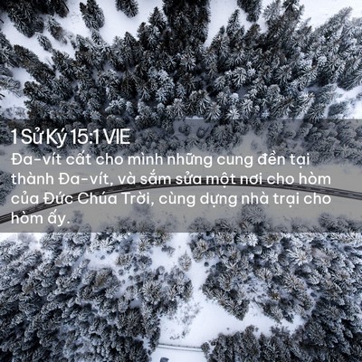Picture 02 - 1 Sử Ký 15:1 VIE - Đa-vít cất cho mình những cung đền - Bible Verse Picture