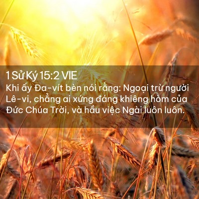 Picture 02 - 1 Sử Ký 15:2 VIE - Khi ấy Đa-vít bèn nói rằng: Ngoại trừ - Bible Verse Picture