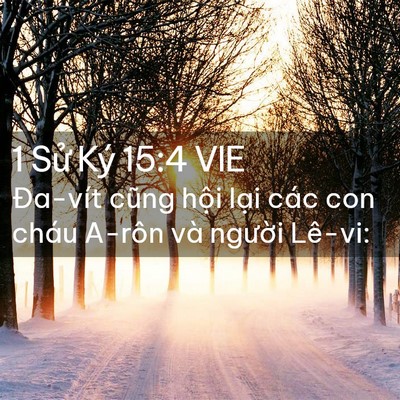 Picture 02 - 1 Sử Ký 15:4 VIE - Đa-vít cũng hội lại các con cháu A-rôn - Bible Verse Picture