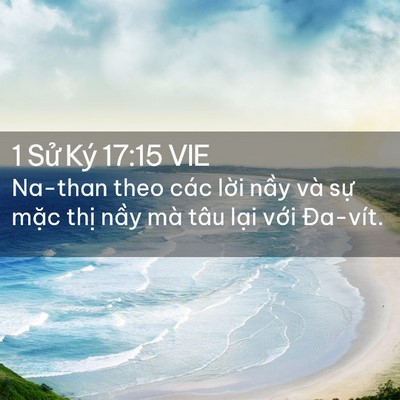 Picture 02 - 1 Sử Ký 17:15 VIE - Na-than theo các lời nầy và sự mặc - Bible Verse Picture
