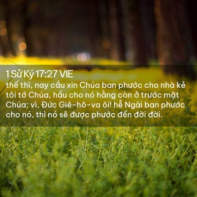 Picture 02 - 1 Sử Ký 17:27 VIE - thế thì, nay cầu xin Chúa ban phước cho - Bible Verse Picture