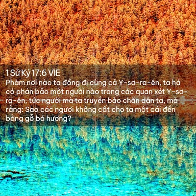 Picture 02 - 1 Sử Ký 17:6 VIE - Phàm nơi nào ta đồng đi cùng cả - Bible Verse Picture