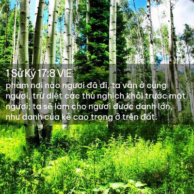 Picture 02 - 1 Sử Ký 17:8 VIE - phàm nơi nào ngươi đã đi, ta vẫn ở - Bible Verse Picture